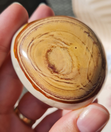 Polychroom Jaspis - Palmsteen - no.7 - 5,5 cm