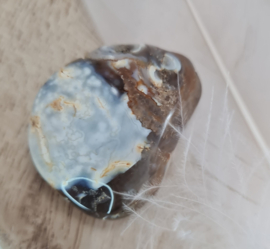 Agaat Geodine - trommelsteen - no.7 - 3,5 cm