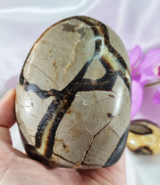 Septarie - Sculptuur - no.2 - 9 cm