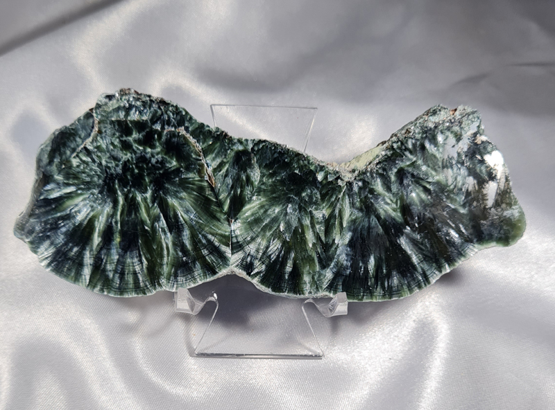 Serafiniet Schijf 12,5 cm no.3