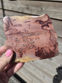 Mookaiet Jaspis Schijf