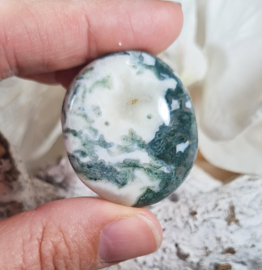 Mosagaat Platte Steen 3,5 cm no.6 Edelsteen