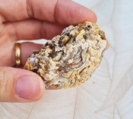 Agaat Geode Druzy Brazilië no.7 - 5 cm