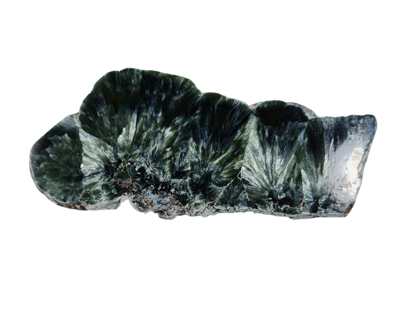 Serafiniet Schijf 10,5 cm no.7