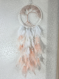 Dromenvanger Levensboom Rozenkwarts Roze 16 cm