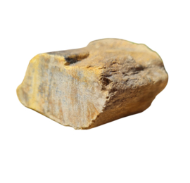 Versteend hout - Java - no.8