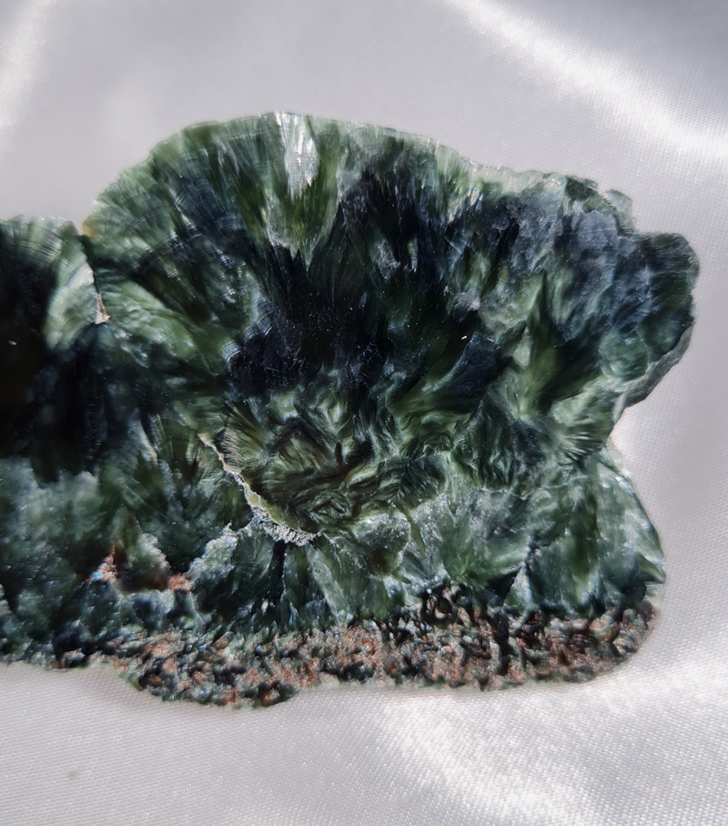 Serafiniet Schijf  11,5 cm no.8