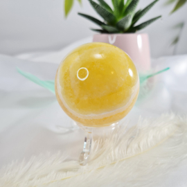 Zebra Calciet - Bol - no.4