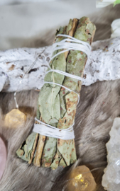 Palo Santo en Eucalyptus Smudge Stick - 10 cm
