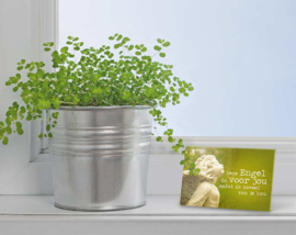 Magneet - Engel voor jou - 8cm