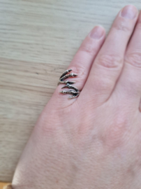 Ring Klauwen