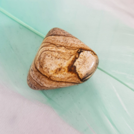 Landschap Jaspis - Trommelsteen