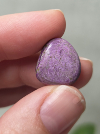 Stichtiet Trommelsteen