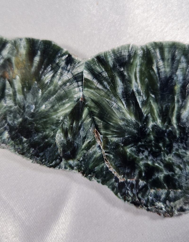 Serafiniet Schijf 12,5 cm no.3