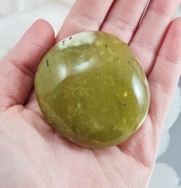 Groene Opaal - no.1 - Palmsteen - Madagaskar - 5,9 cm