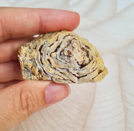 Agaat Geode Druzy Brazilië no.16 - 5 cm