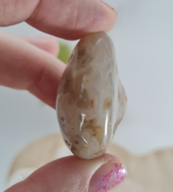 Agaat Geodine - trommelsteen - no.5 - 3,5 cm