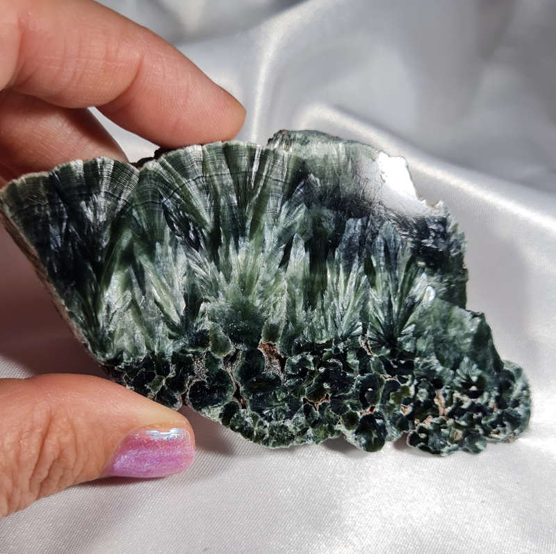 Serafiniet Schijf 10,5 cm no.5