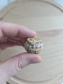 Aragoniet trommelsteen