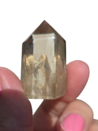 Citrien Punt - diverse soorten Madagaskar - Natuurlijk