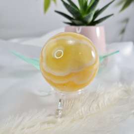 Zebra Calciet - Bol - no.4