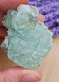 Apophyllite Green Crystal Cluster India - 5 cm