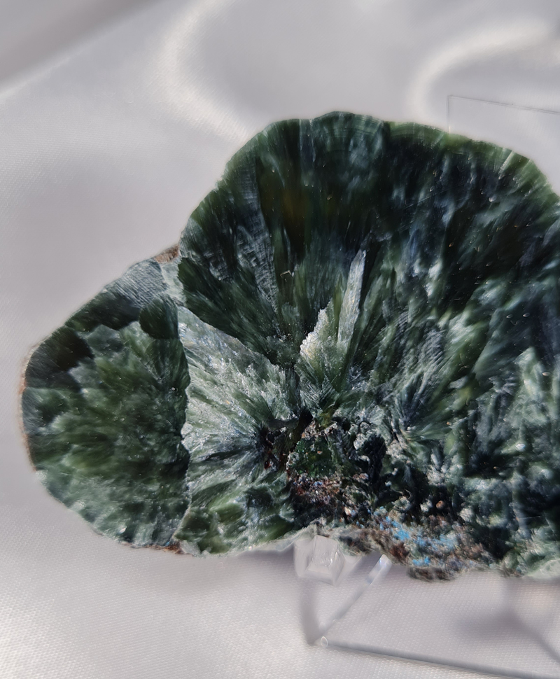 Serafiniet Schijf 10,5 cm no.7