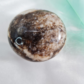 Zwarte Opaal - Palmsteen - no.4 - 5 cm