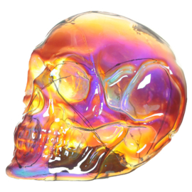 Schedel - Schitter Regenboog LED Schedel - Skull & Bones - 13,5 cm