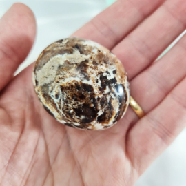Zwarte Opaal - Palmsteen - no.6 - 4 cm