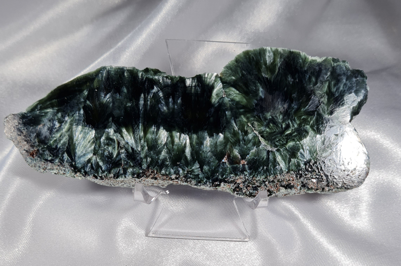 Serafiniet Schijf  11,5 cm no.8