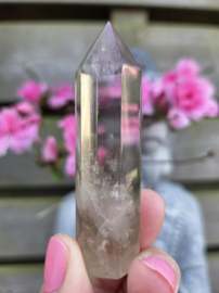 Citrien Punt - diverse soorten Madagaskar - Natuurlijk