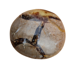 Septarie Handsteen - Heerlijk Aardend - no.7 - 5 cm