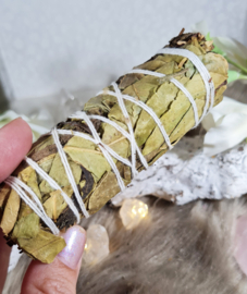 Eucalyptus Salie Smudgestick Aura Bescherming 11cm