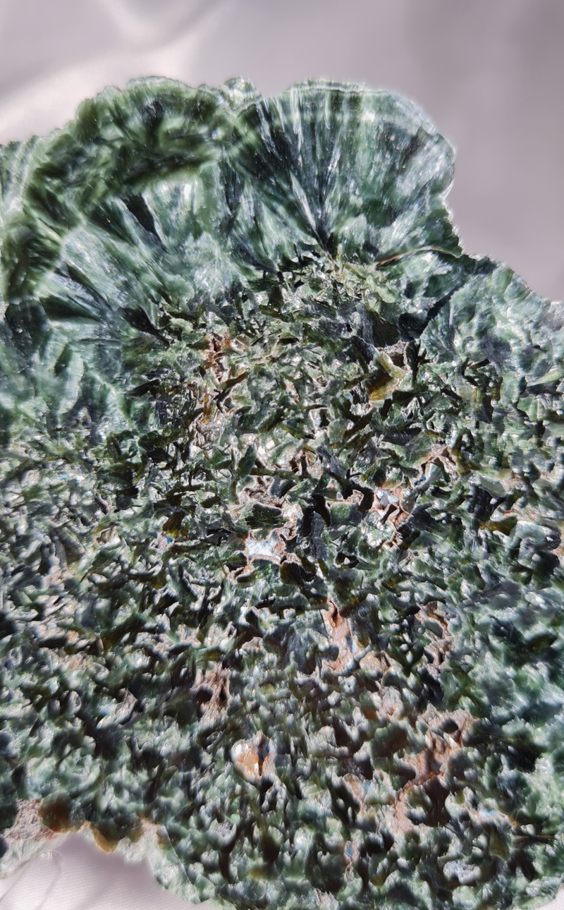 Serafiniet Schijf 10 cm no.2