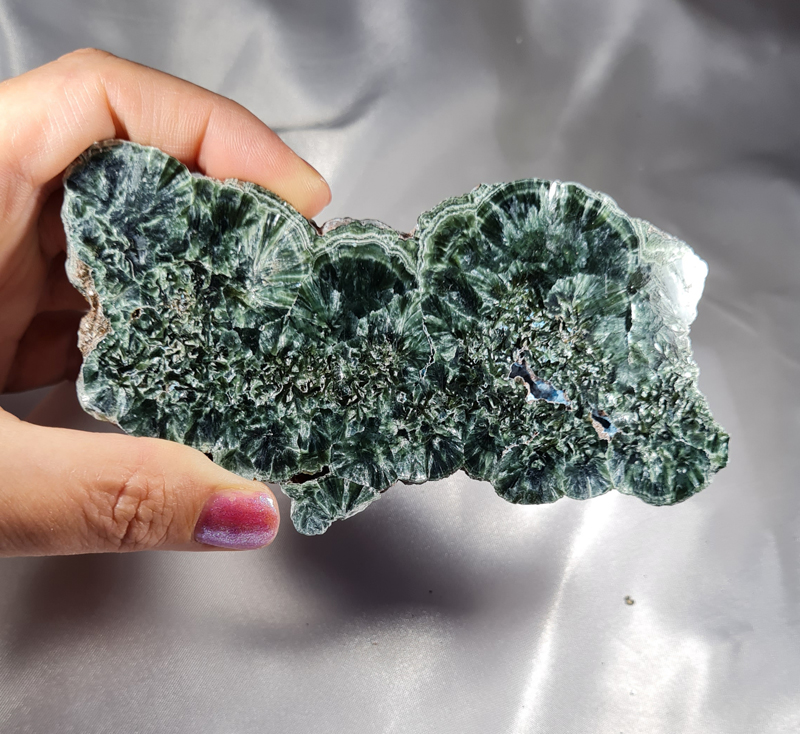 Serafiniet Schijf 13,5 cm no.1