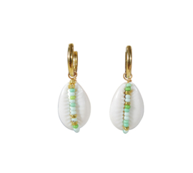 Oorbellen Shell - Stainless Steel Groen en Goud