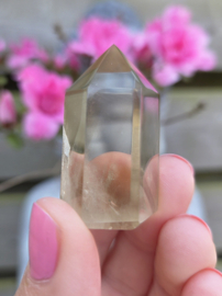 Citrien Punt - diverse soorten Madagaskar - Natuurlijk