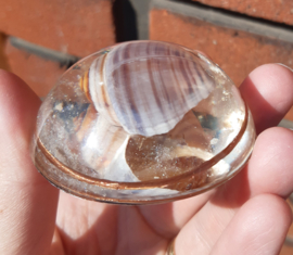 Orgonite - Halve bol met schelp