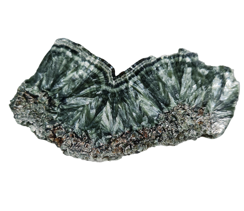 Serafiniet Schijf 8,5 cm no.10