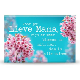 Magneet - Lieve Mama - Blauw met Roze - 8 cm