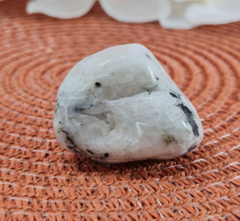 Witte Maansteen - Palmsteen - no.3 - 4,2cm