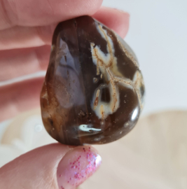 Agaat Geodine - trommelsteen - no.7 - 3,5 cm