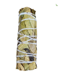 Eucalyptus Salie Smudgestick Aura Bescherming 11cm