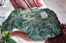 Fuchsiet ruw - 15 cm no.2