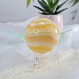 Zebra Calciet - Bol - no.4