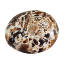 Zwarte Opaal - Palmsteen - no.6 - 4 cm