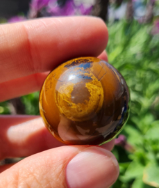 Tijgeroog Edelsteen Bol - no.3 - 3 cm