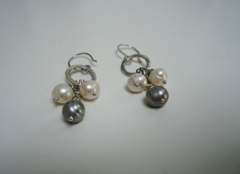Oorbellen "Simply Pearls"