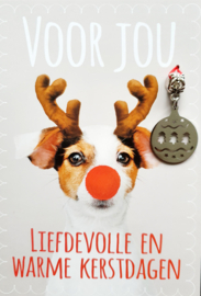 LIEFDEVOLLE EN WARME KERSTDAGEN